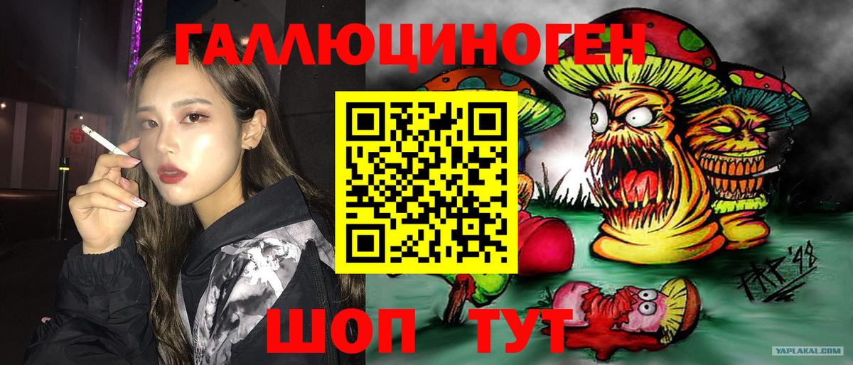 Истра  Псилоцибиновые грибы GOLDEN TEACHER  Вход с VPN 