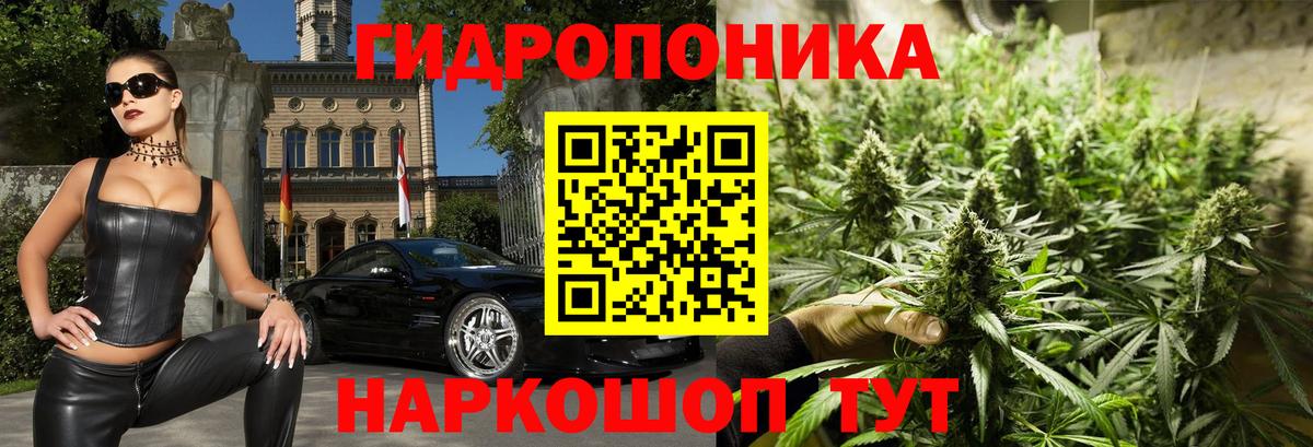 Канабис конопля Истра